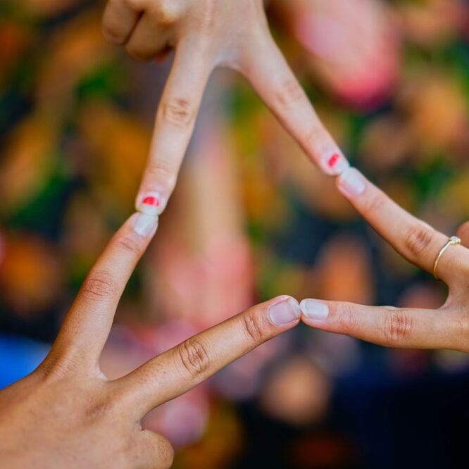 Stress Crossover from Followers to Leaders