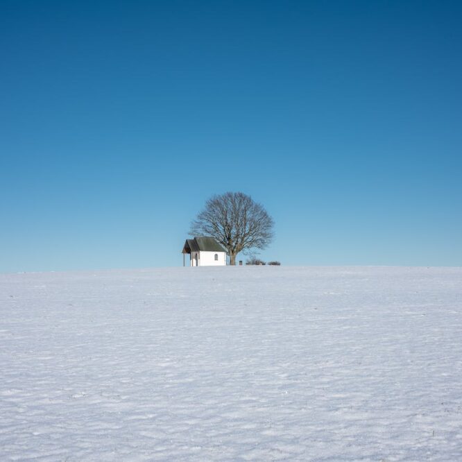 University Faculty Need to Return to Campus