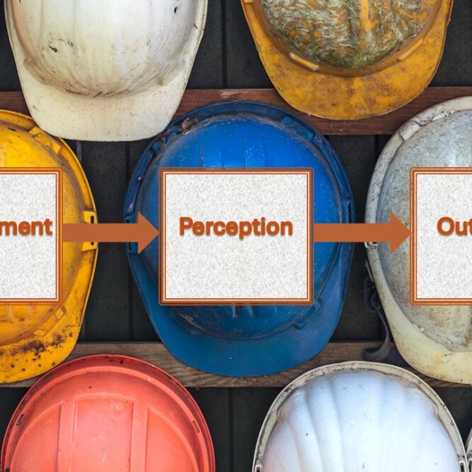 The Environment Perception Outcome Paradigm in Organizational Research